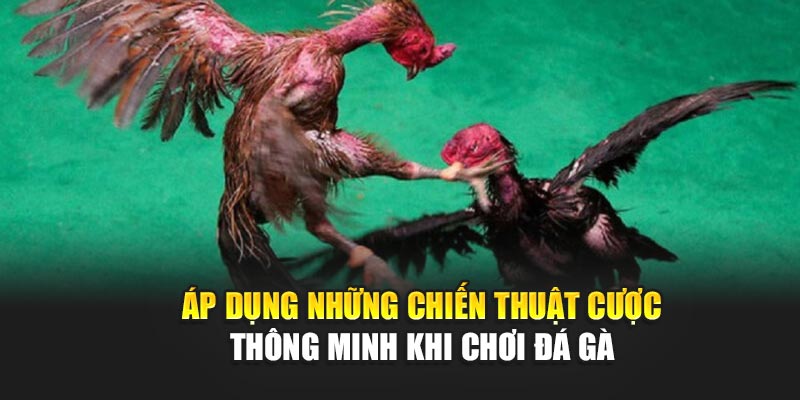 ap-dung-nhung-chien-thuat-cuoc-thong-minh-khi-choi-da-ga