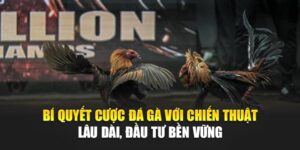 bi-quyet-cuoc-da-ga-voi-chien-thuat-lau-dai-dau-tu-ben-vung