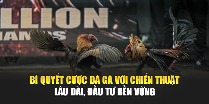 bi-quyet-cuoc-da-ga-voi-chien-thuat-lau-dai-dau-tu-ben-vung