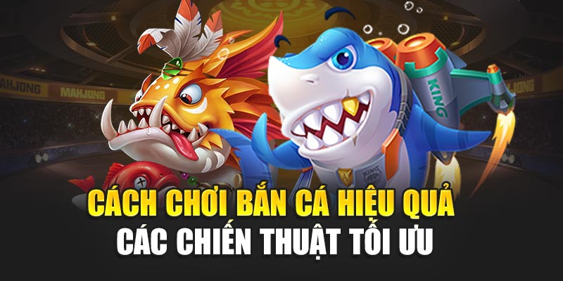 cach-choi-ban-ca-hieu-qua-–-cac-chien-thuat-toi-uu