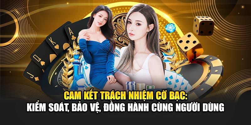 cam-ket-trach-nhiem-co-bac-kiem-soat-bao-ve-dong-hanh-cung-nguoi-dung