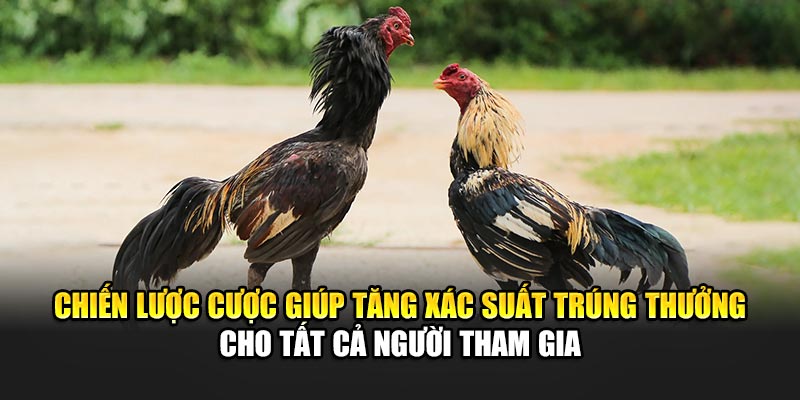chien-luoc-cuoc-giup-tang-xac-suat-trung-thuong-cho-tat-ca-nguoi-tham-gia