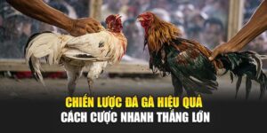 chien-luoc-da-ga-hieu-qua-–-cach-cuoc-nhanh-thang-lon