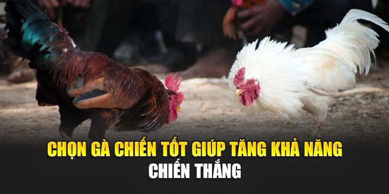 chon-ga-chien-tot-giup-tang-kha-nang-chien-thang