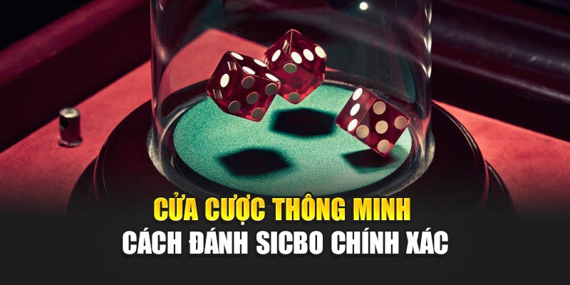 cua-cuoc-thong-minh-–-cach-danh-sicbo-chinh-xac