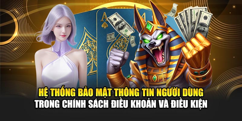 Hệ thống bảo mật thông tin người dùng trong chính sách điều khoản và điều kiện