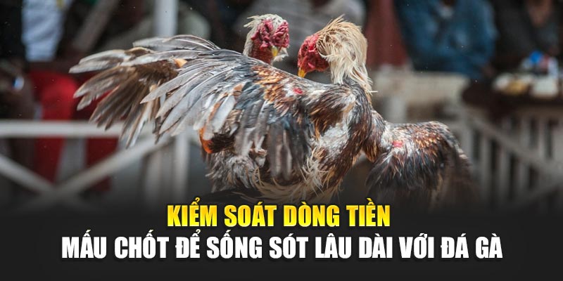 kiem-soat-dong-tien-–-mau-chot-de-song-sot-lau-dai-voi-da-ga