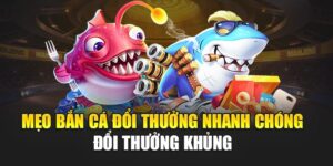 meo-ban-ca-doi-thuong-nhanh-chong-–-doi-thuong-khung