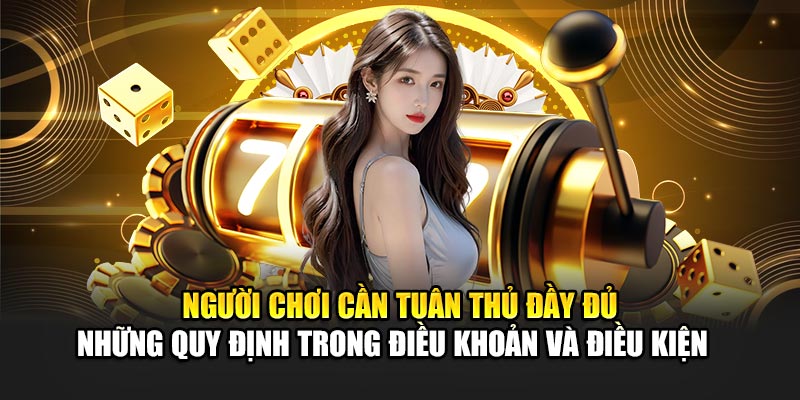 Người chơi cần tuân thủ đầy đủ những quy định trong điều khoản và điều kiện