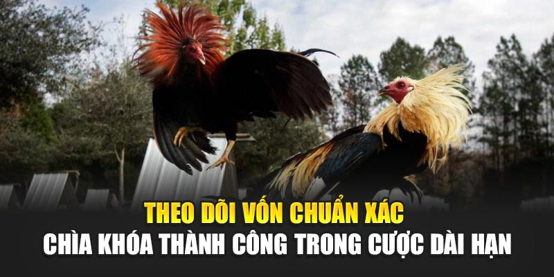 theo-doi-von-chuan-xac-–-chia-khoa-thanh-cong-trong-cuoc-dai-han