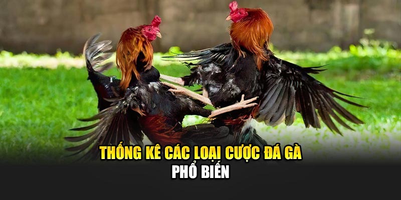 thong-ke-cac-loai-cuoc-da-ga-pho-bien