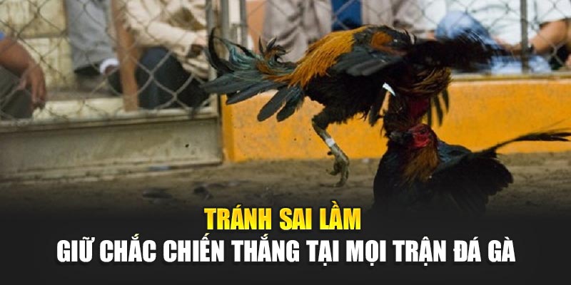 tranh-sai-lam-–-giu-chac-chien-thang-tai-moi-tran-da-ga