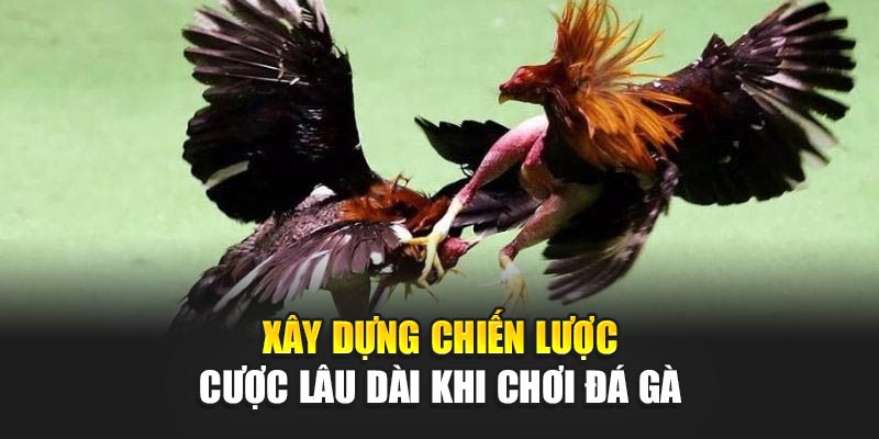 xay-dung-chien-luoc-cuoc-lau-dai-khi-choi-da-ga